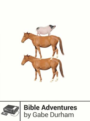 cover image of Bible Adventures
